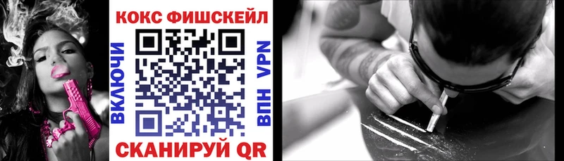 купить наркотики цена  Нюрба  Cocaine FishScale 