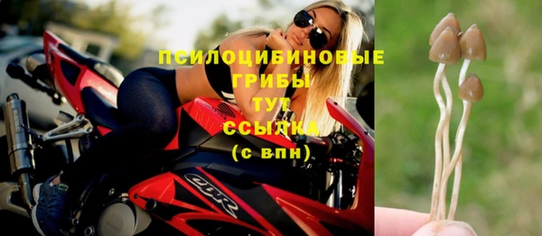 молекула духа Пересвет